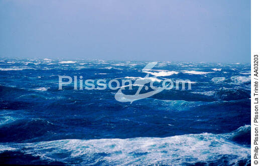 Mer d'iroise - © Philip Plisson / Plisson La Trinité / AA03203 - Photo Galleries - Rough weather