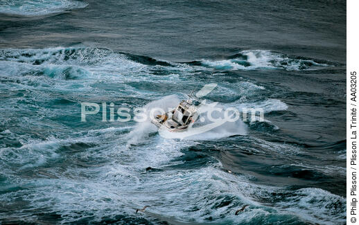 Pêche au bar dans les courants du Raz de Sein au pied du phare de la Vieille. - © Philip Plisson / Plisson La Trinité / AA03205 - Nos reportages photos - Mer d'Iroise