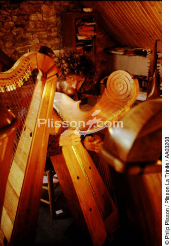 Luthier - © Philip Plisson / Plisson La Trinité / AA03208 - Photo Galleries - Musician