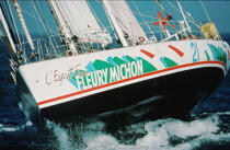 Fleury Michon X © Philip Plisson / Plisson La Trinité / AA03253 - Photo Galleries - Maxi-monohull Racing Yacht