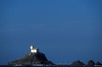 Tevennec sous le ciel bleu © Philip Plisson / Plisson La Trinité / AA03295 - Photo Galleries - Lighthouse