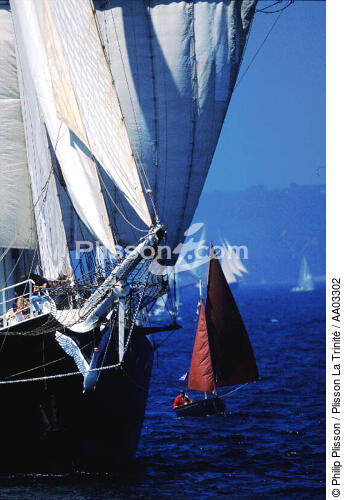 Petits et gros voiliers se sont donnés rendez-vous dans la Baie de Douarnenez - © Philip Plisson / Plisson La Trinité / AA03302 - Nos reportages photos - Brest 2000