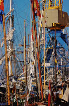 Des mâts, oui mais des mâts en bois. © Philip Plisson / Plisson La Trinité / AA03307 - Photo Galleries - The major maritime celebrations in Brest