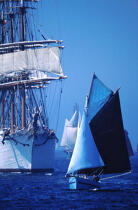 Petits et grands voiliers se partagent la vedette pendant Brest 2000 © Philip Plisson / Plisson La Trinité / AA03330 - Photo Galleries - Tall ship / Sailing ship
