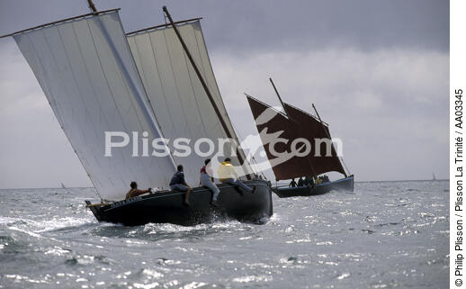 Sinagos dans le Golfe du Morbihan. - © Philip Plisson / Plisson La Trinité / AA03345 - Photo Galleries - Plage de Donnant
