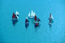 Régate de vieux gréements sur les cotes anglaises © Philip Plisson / Plisson La Trinité / AA03347 - Photo Galleries - Yachting
