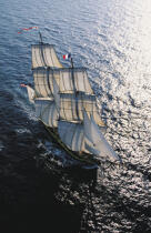 Les HMS Rose © Philip Plisson / Plisson La Trinité / AA05299 - Nos reportages photos - Grand voilier