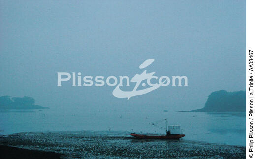 Paysage du golfe dans la brume. - © Philip Plisson / Plisson La Trinité / AA03467 - Photo Galleries - Mist