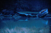 Cimetière à bateaux du Bono. © Philip Plisson / Plisson La Trinité / AA03493 - Photo Galleries - Shipwreck