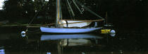 Lady Maud. © Philip Plisson / Plisson La Trinité / AA03496 - Photo Galleries - Yachting