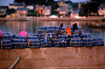 Materiel de pêche à l'île de Batz. © Philip Plisson / Plisson La Trinité / AA03519 - Photo Galleries - Finistère