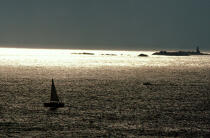 Lumière près de Roscoff. © Philip Plisson / Plisson La Trinité / AA03525 - Photo Galleries - Morlaix [The Bay of]