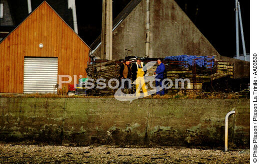 Ostreiculteurs. - © Philip Plisson / Plisson La Trinité / AA03530 - Photo Galleries - Oyster farmer