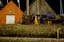 Ostreiculteurs. © Philip Plisson / Plisson La Trinité / AA03530 - Nos reportages photos - Morlaix [Baie de]