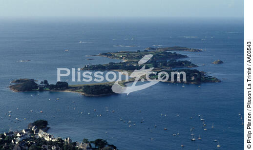 L'ile Callot. - © Philip Plisson / Plisson La Trinité / AA03543 - Photo Galleries - Morlaix [The Bay of]