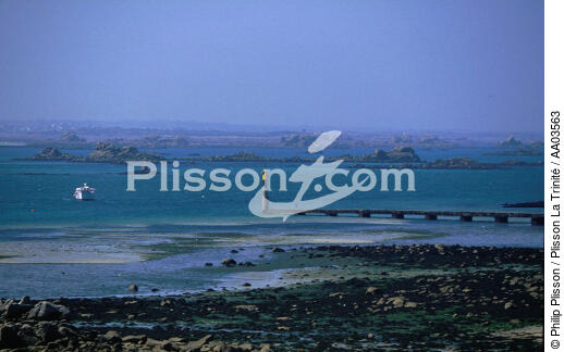 Ile de Batz - © Philip Plisson / Plisson La Trinité / AA03563 - Photo Galleries - Morlaix [The Bay of]