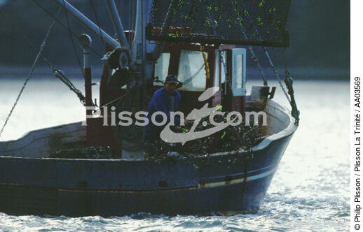 Ostréiculteur en baie de Morlaix. - © Philip Plisson / Plisson La Trinité / AA03569 - Photo Galleries - Aquaculture