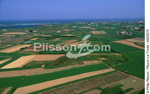 Vue aérienne des champs à l'ile de Batz. - © Philip Plisson / Plisson La Trinité / AA03572 - Photo Galleries - Batz