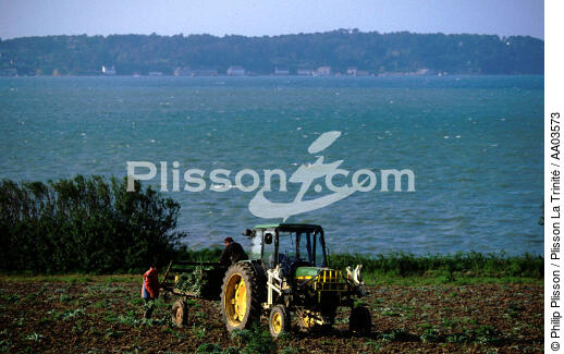 Agriculteurs à Batz. - © Philip Plisson / Plisson La Trinité / AA03573 - Nos reportages photos - Batz