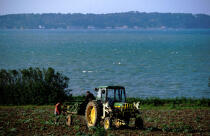 Agriculteurs à Batz. © Philip Plisson / Plisson La Trinité / AA03573 - Photo Galleries - Island [29]