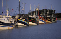 Port de pêche de Roscoff. © Philip Plisson / Plisson La Trinité / AA03578 - Photo Galleries - Fishing vessel