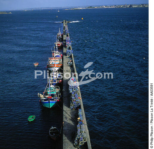 Bateaux de pêche au port. - © Philip Plisson / Plisson La Trinité / AA03591 - Nos reportages photos - Morlaix [Baie de]