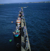 Bateaux de pêche au port. © Philip Plisson / Plisson La Trinité / AA03591 - Nos reportages photos - Format carré