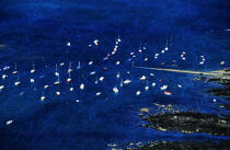 Bateaux au mouillage à Trégastel © Philip Plisson / Plisson La Trinité / AA03744 - Photo Galleries - Boat