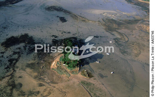 Ile et bateaux à marée basse - © Philip Plisson / Plisson La Trinité / AA03746 - Nos reportages photos - Ile [22]