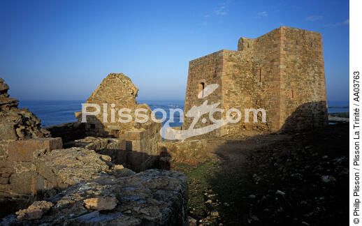 Ruines sur les Sept Iles - © Philip Plisson / Plisson La Trinité / AA03763 - Photo Galleries - Island [22]