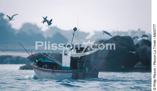 Petite pêche à Ploumanac'h - © Philip Plisson / Plisson La Trinité / AA03777 - Photo Galleries - Fishing vessel