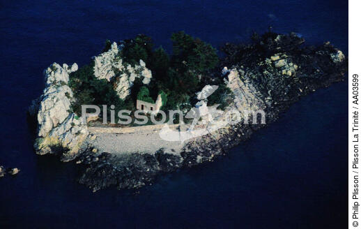 Un des nombreux îlots autour de Bréhat. - © Philip Plisson / Plisson La Trinité / AA03599 - Photo Galleries - Island [22]