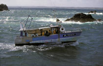 Caseyeur de paimpol. © Philip Plisson / Plisson La Trinité / AA03622 - Photo Galleries - Fishing vessel
