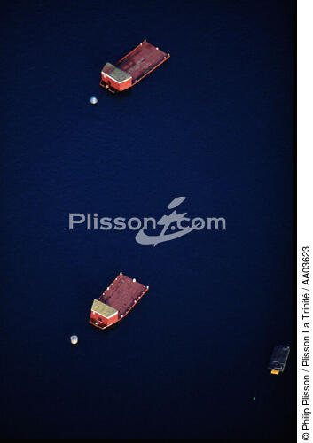 Pontons ostréicoles. - © Philip Plisson / Plisson La Trinité / AA03623 - Photo Galleries - Aquaculture