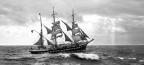 Le Belem. © Philip Plisson / Plisson La Trinité / AA03785 - Photo Galleries - Three-masted ship