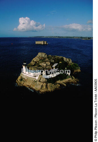 Ile Louët. - © Philip Plisson / Plisson La Trinité / AA03905 - Photo Galleries - Morlaix [The Bay of]