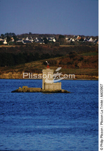 Le phare de l'Ile Noire - © Philip Plisson / Plisson La Trinité / AA03907 - Photo Galleries - Morlaix [The Bay of]