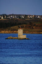 Le phare de l'Ile Noire © Philip Plisson / Plisson La Trinité / AA03907 - Photo Galleries - Lighthouse [29]