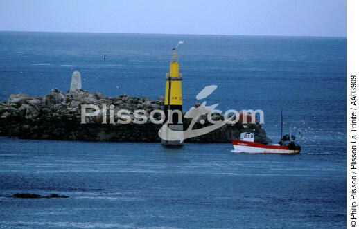 Retour de pêche à Roscoff - © Philip Plisson / Plisson La Trinité / AA03909 - Nos reportages photos - Cardinale