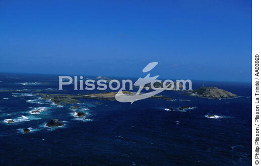 Vue aérienne des 7 îles. - © Philip Plisson / Plisson La Trinité / AA03920 - Photo Galleries - Sept Iles [The]