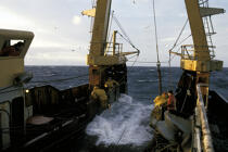 Pêcheurs au travail. © Didier Perron / Plisson La Trinité / AA03999 - Nos reportages photos - Bateau de pêche