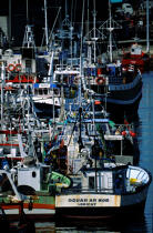Bateaux de pêche dans le port de Lorient © Philip Plisson / Plisson La Trinité / AA04003 - Nos reportages photos - Bateau