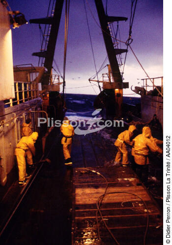 Equipage de pêcheurs ramenant le filet. - © Didier Perron / Plisson La Trinité / AA04012 - Nos reportages photos - Bateau