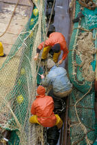 Pêcheurs réparant le filet. © Didier Perron / Plisson La Trinité / AA04014 - Nos reportages photos - Filet de pêche