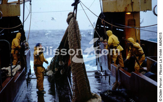 Filet ramené à bord par les pêcheurs. - © Didier Perron / Plisson La Trinité / AA04015 - Photo Galleries - Perron Didier