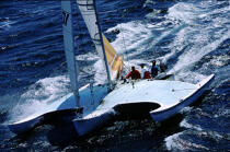 Aile Bleue © Philip Plisson / Plisson La Trinité / AA04023 - Photo Galleries - Sailing Race