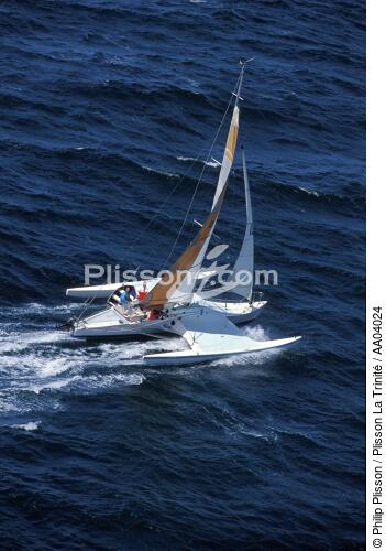 Aile Bleue - © Philip Plisson / Plisson La Trinité / AA04024 - Photo Galleries - Ocean racing trimaran