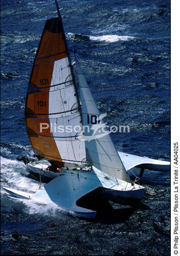 Aile Bleue - © Philip Plisson / Plisson La Trinité / AA04025 - Photo Galleries - Boat