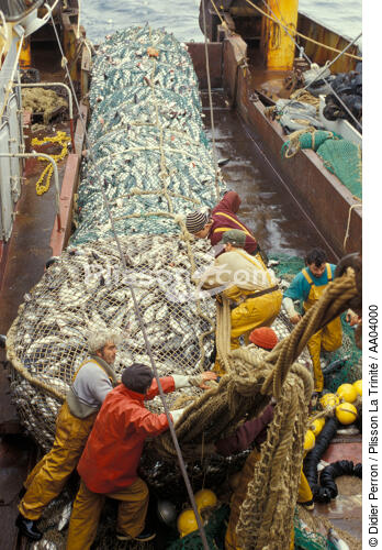 Bonne pêche pour ce chalutier lorientais - © Didier Perron / Plisson La Trinité / AA04000 - Photo Galleries - Fishing nets