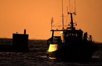 Retour de pêche au petit matin © Philip Plisson / Plisson La Trinité / AA04031 - Nos reportages photos - Bateau de pêche